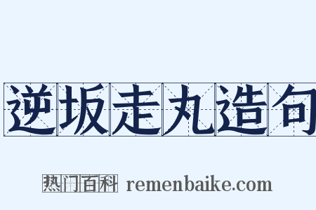 逆坂走丸造句是什么意思的图片